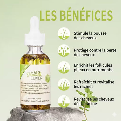 Elixir: Pousse Accélérée