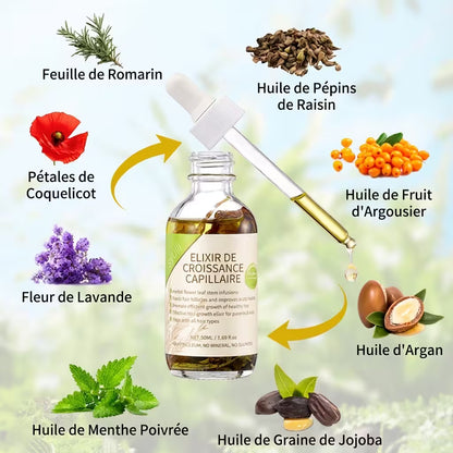 Elixir: Pousse Accélérée