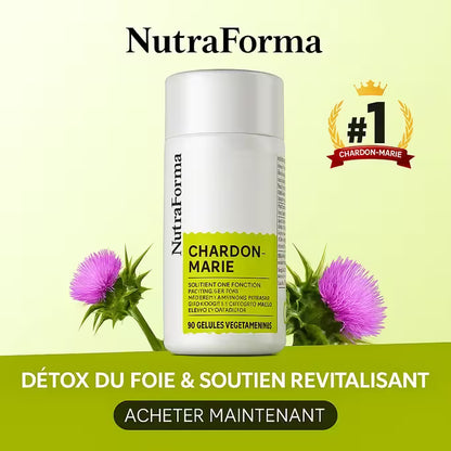 Milk Thistle - Détoxifiant pour Foie