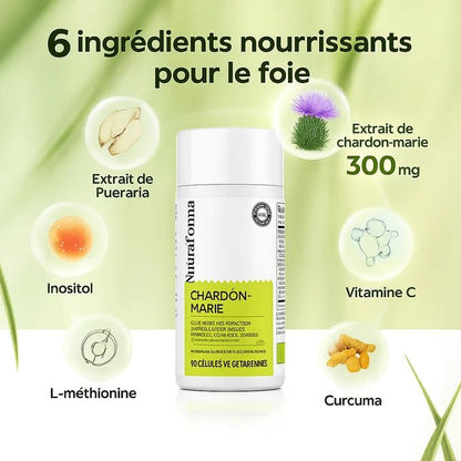Milk Thistle - Détoxifiant pour Foie - Welii
